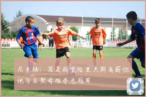 尼克杨：若是我会给里夫斯高薪但他与东契奇难夺总冠军
