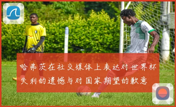 哈弗茨在社交媒体上表达对世界杯失利的遗憾与对国家期望的歉意